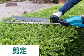 剪定
